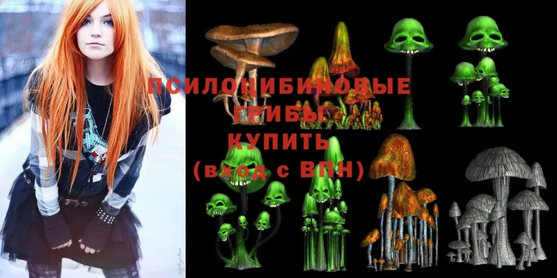 Псилоцибиновые грибы Cubensis  Ижевск 